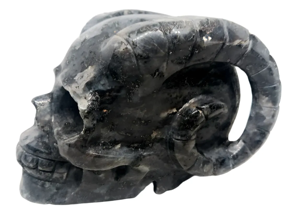 687G Larvikite Crystal Horned Skull