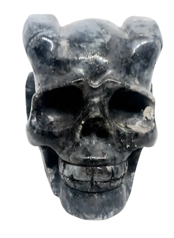 687G Larvikite Crystal Horned Skull