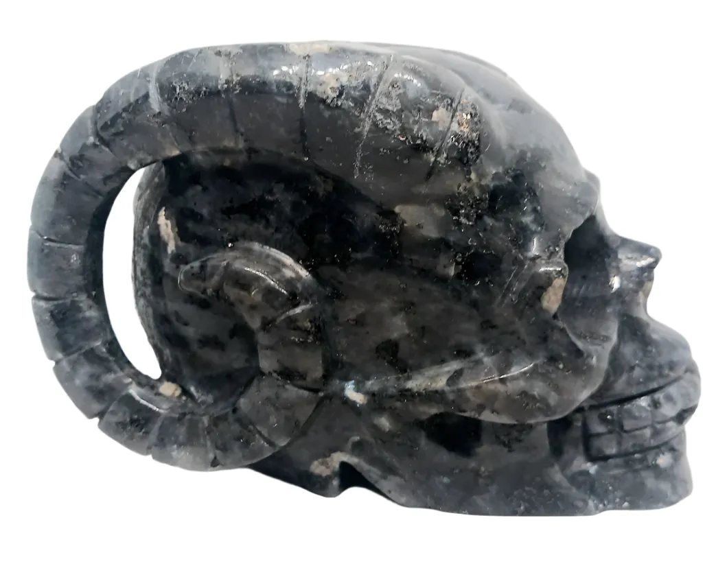 687G Larvikite Crystal Horned Skull