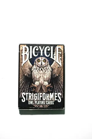 Bicycle Strigiformes Owl