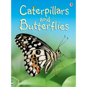 Caterpillars & Butterflies Beginners Series