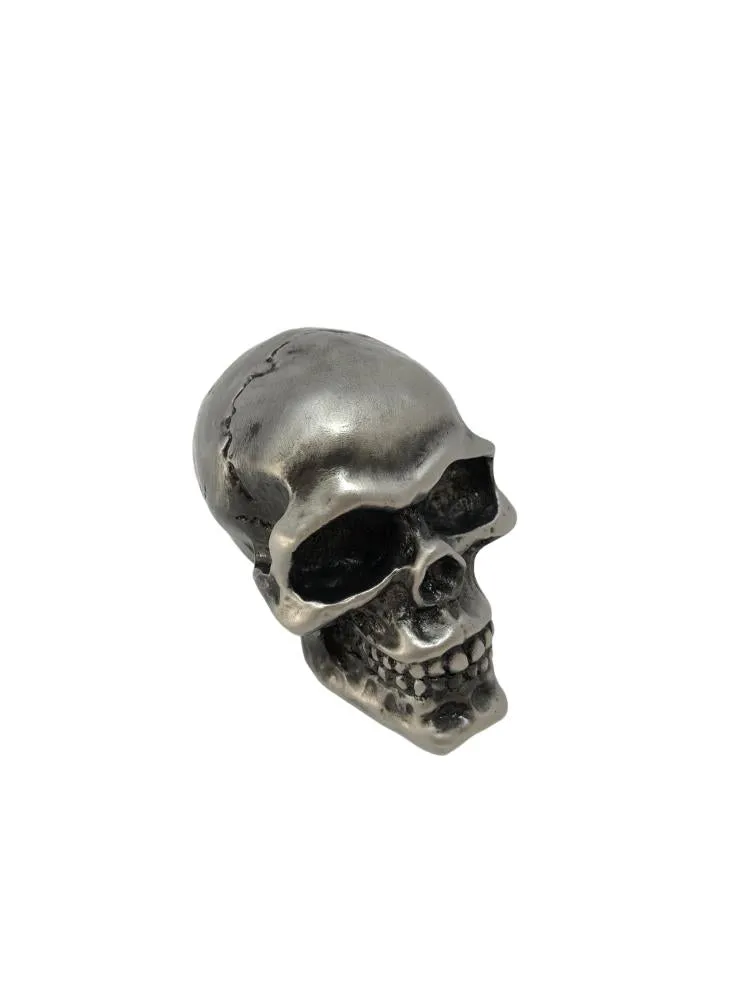 Cracked Skull Ornamental Statue for Fenders/Bonnet Mascot - Old Silver - Highway Hawk H02-086M