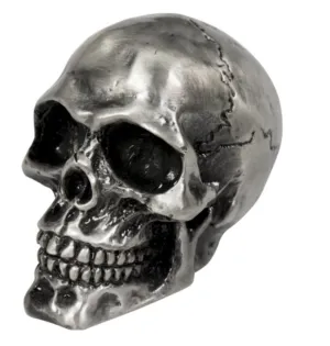 Cracked Skull Ornamental Statue for Fenders/Bonnet Mascot - Old Silver - Highway Hawk H02-086M