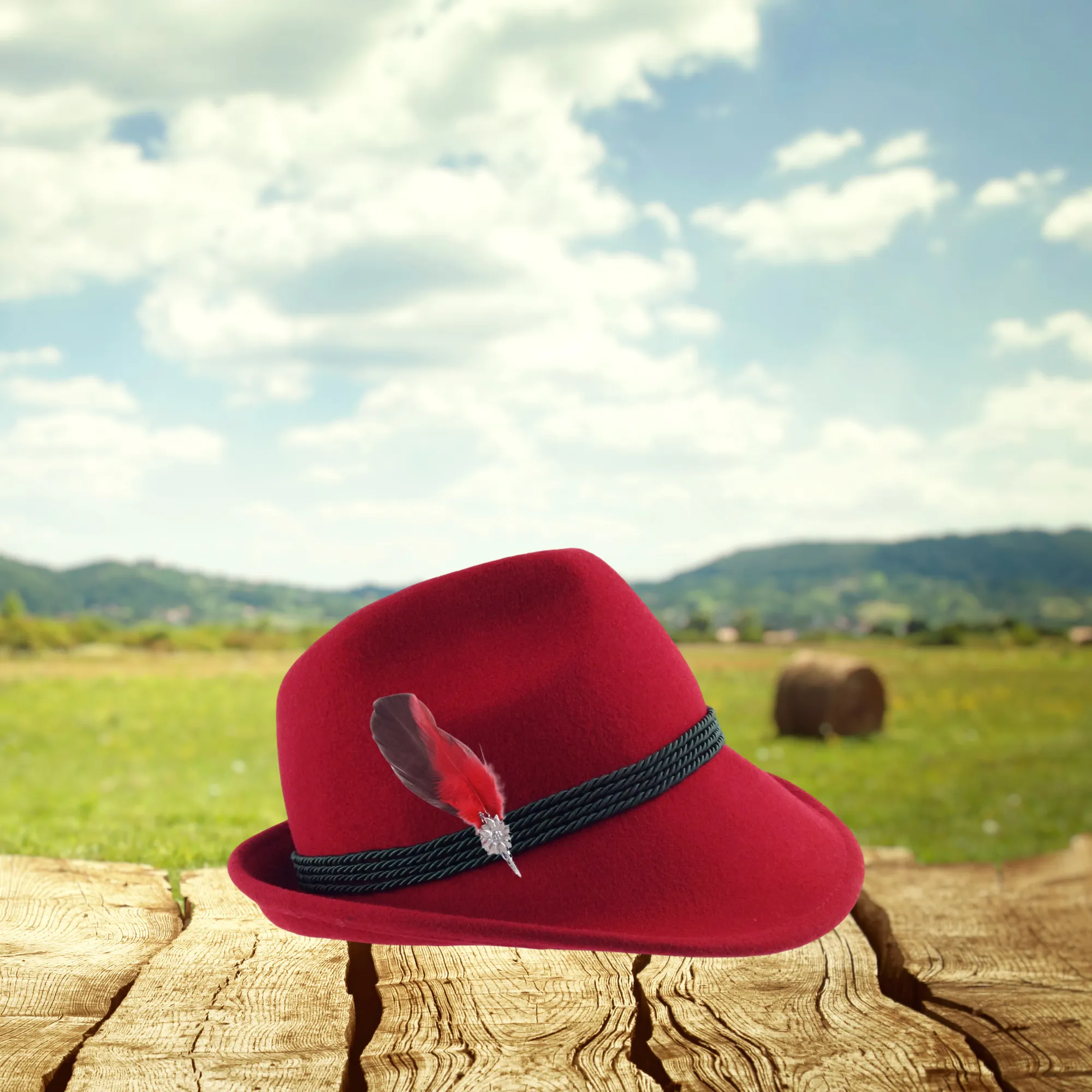 Edelweiss Hat Pin with Feather