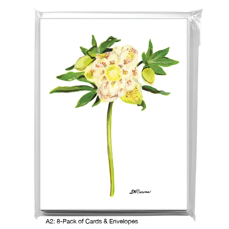 Hellebore Bloom, Greeting Card (7514)