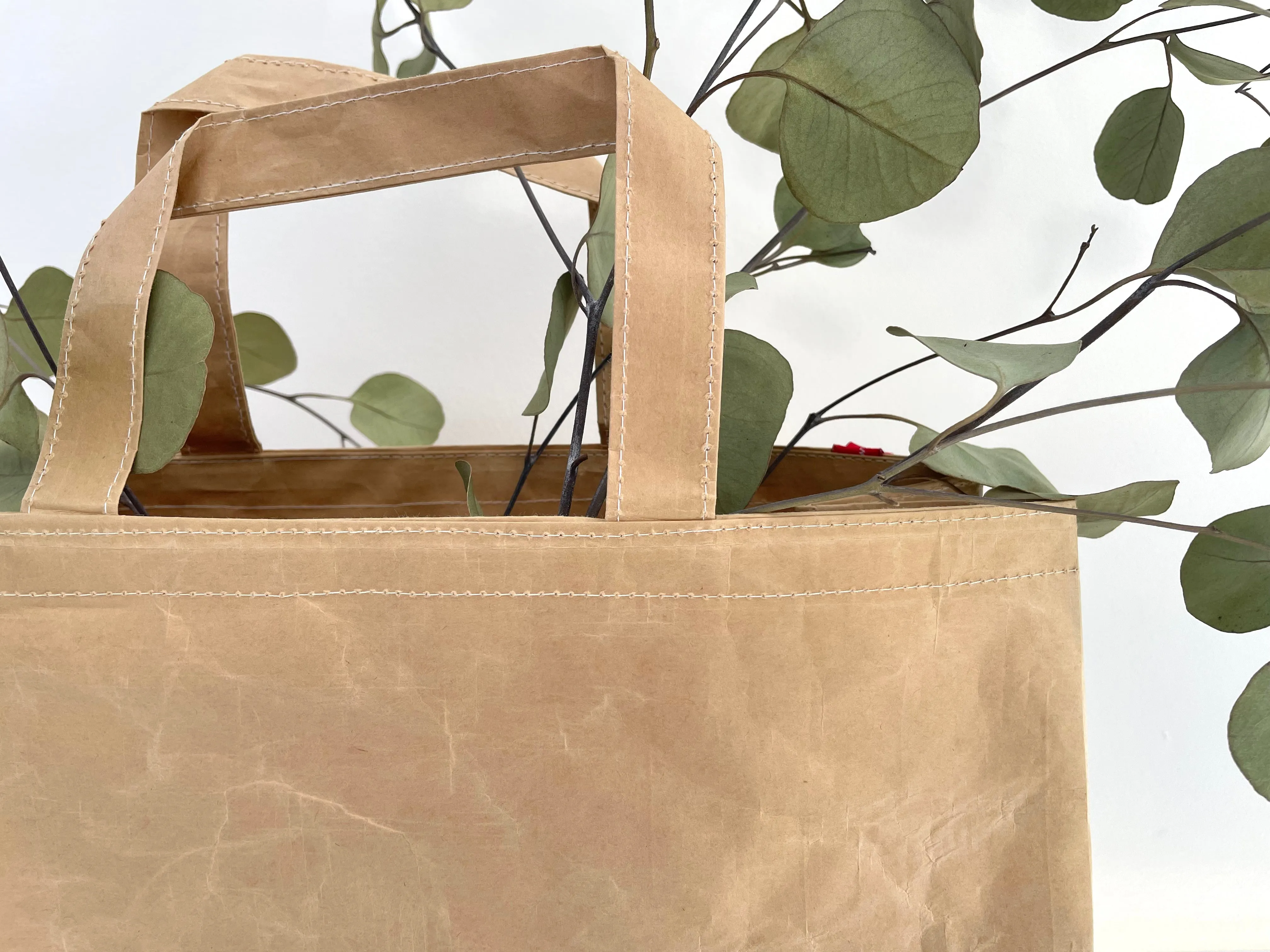 recycled kraft shopping bag