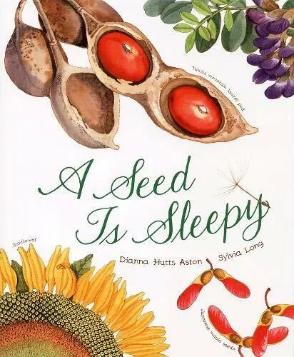 Seed Is Sleepy Hard Cover