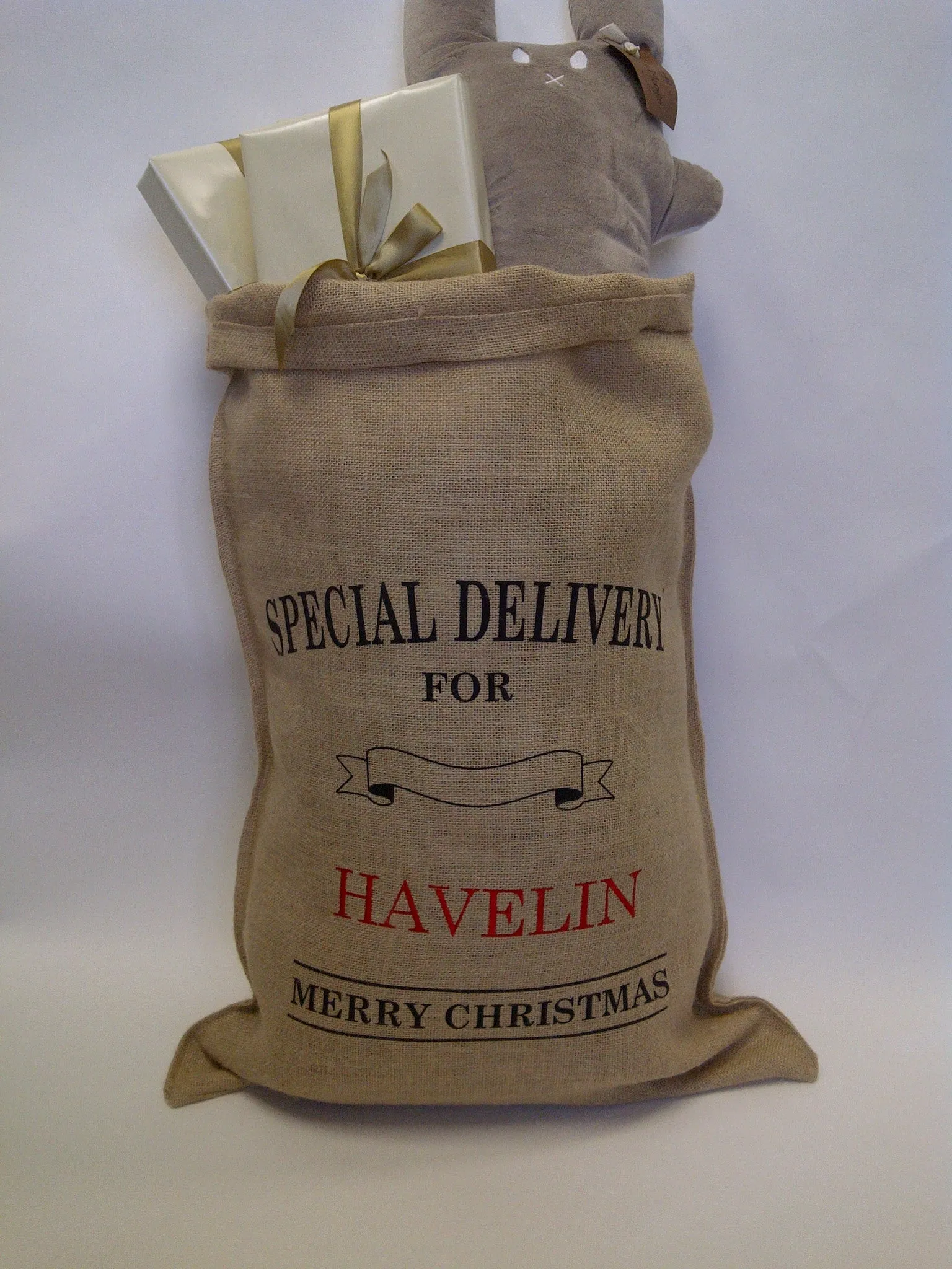 Special Delivery Christmas Sack