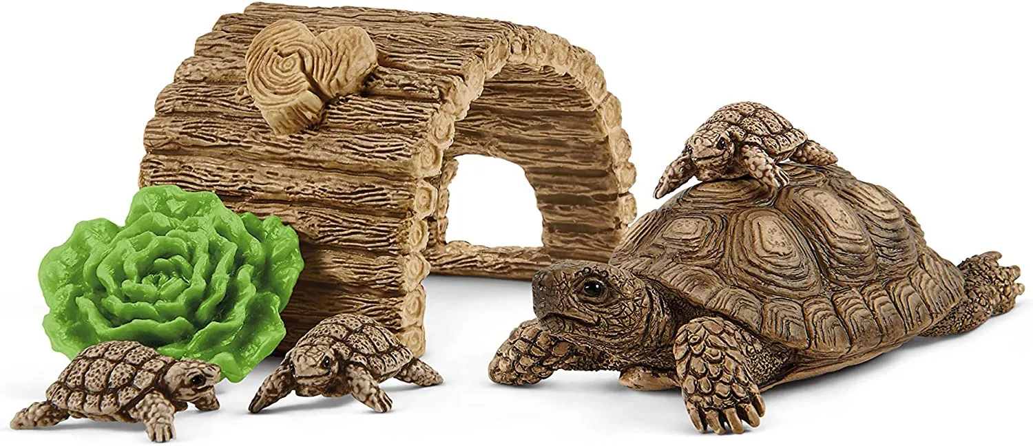 Tortoise Home