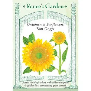 Van Gogh Sunflower: Ornamental by Renee's Seeds