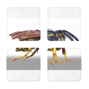 Wasp Character Sublimation Coasters Pack of Four